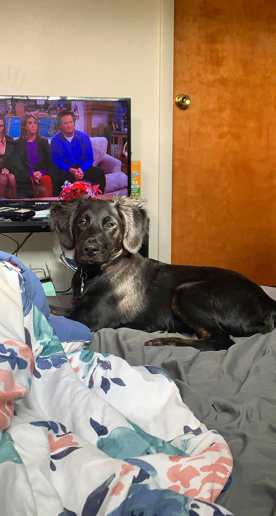 Gus