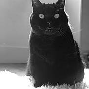 Jackson participe au concours pour gagner de l'argent avec cette photo :