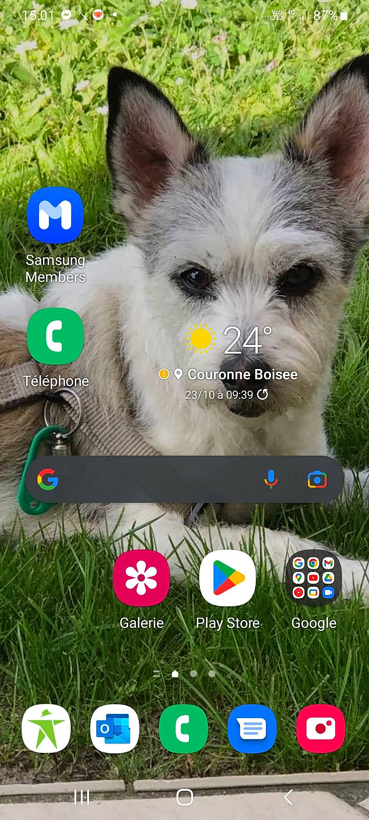 Atchoum participe au concours pour gagner de l'argent avec cette photo : advertising, carnivore, companion_dog, dog, dog_breed, font, fur, gadget, graphics, grass, green, logo, multimedia, multimedia_software, natural_landscape, photo_caption, screenshot, snout, whiskers, working_animal