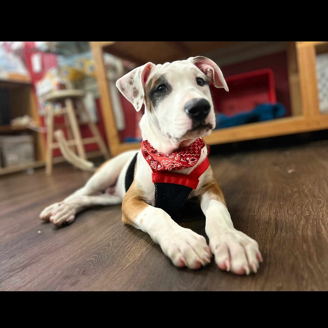 Casper