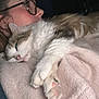 Sisouille a rejoint le concours — aidez-le/la à gagner de superbes lots ! affection, casual_clothing, cat, close_up, comfort, cozy, domestic, fluffy_cat, glasses, hand, indoor, person, pet, pink_sweater, relaxed, resting, sleepy_cat, snuggling, soft_texture, warm