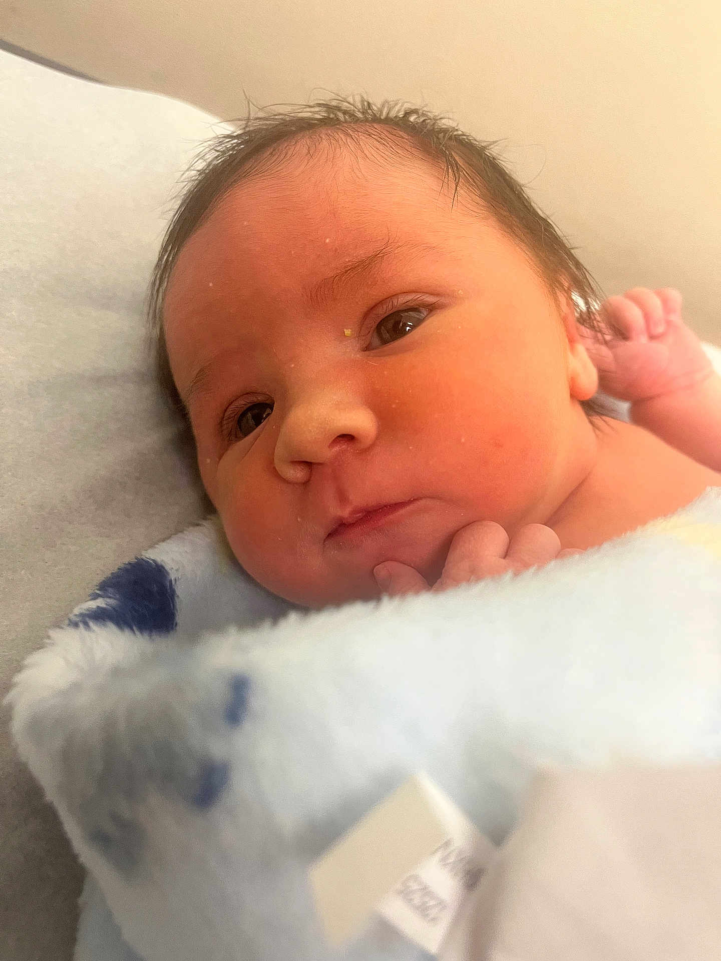 James joined the competition — help win amazing prizes! newborn, baby, infant, face, eyes, blanket, skin, hand, fingers, closeup, soft, cute, portrait, sleeping, young, child, adorable, resting, indoors, newborn_baby