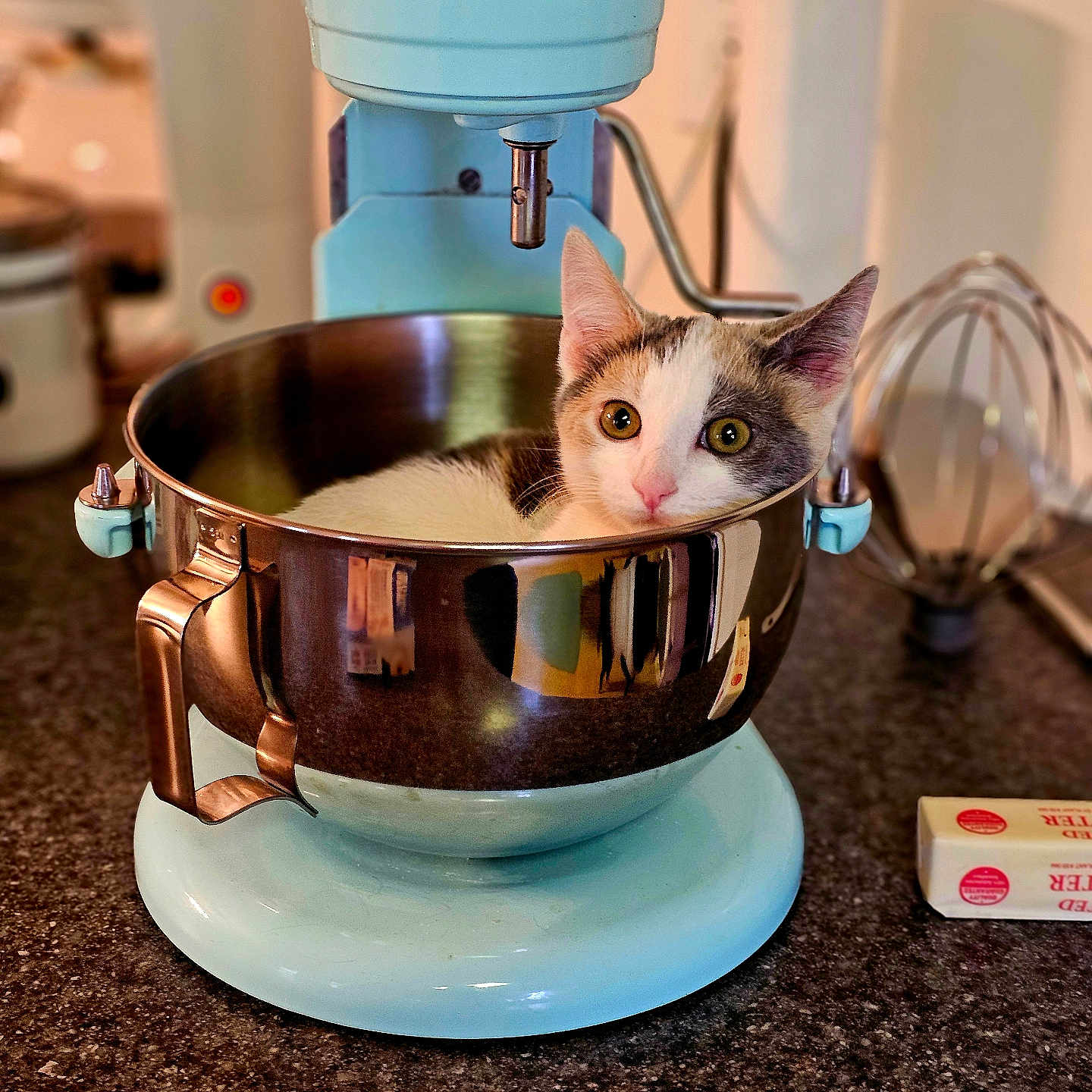 Martha Stewart