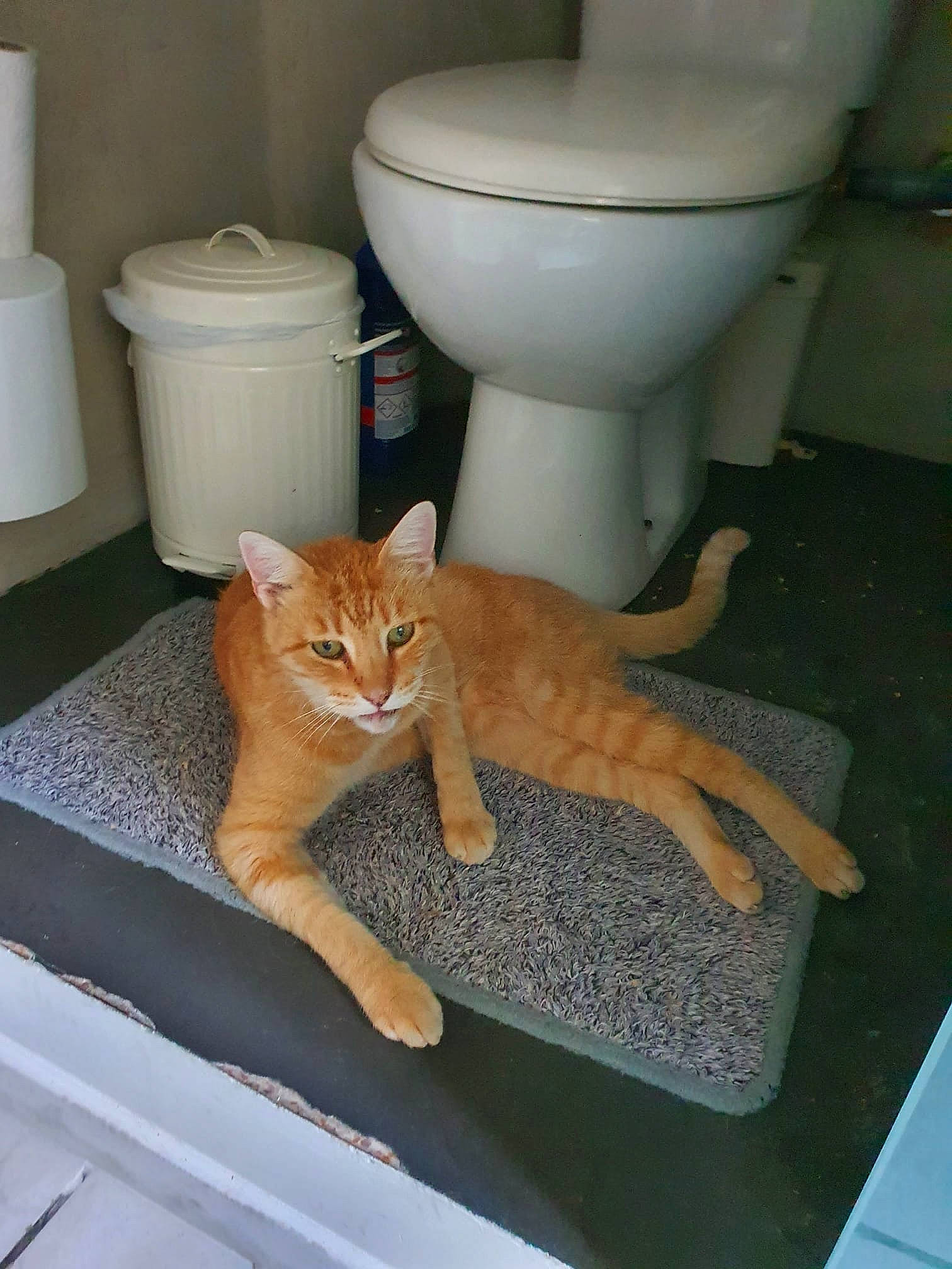 Garfield