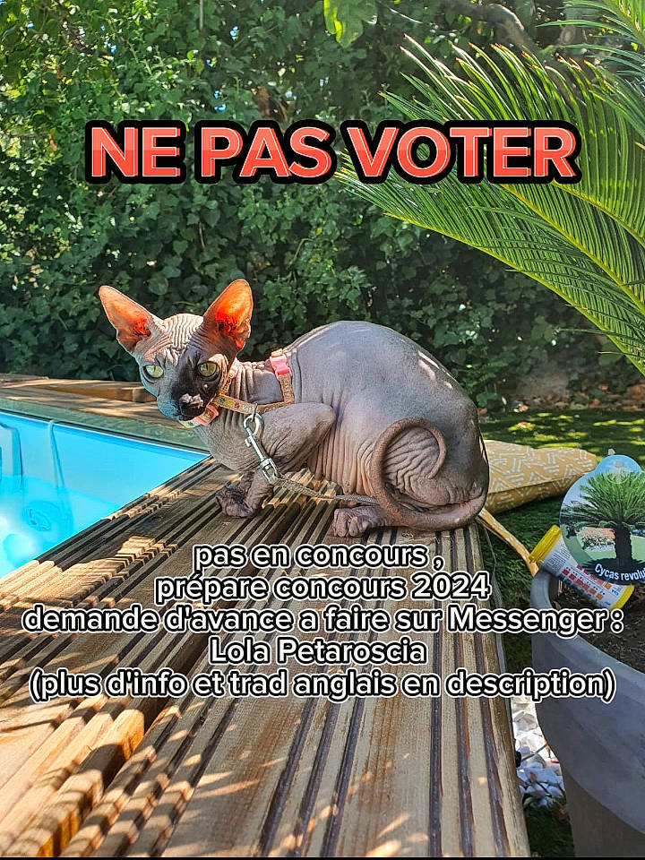 Rajah a rejoint le concours — aidez-le/la à gagner de superbes lots ! adaptation, advertising, biome, dinosaur, font, grass, insect, landscape, natural_foods, organism, photo_caption, plant, recreation, soil, terrestrial_animal, terrestrial_plant, tree, vertebrate, wildlife, wood