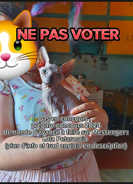 Gollum a rejoint le concours — aidez-le/la à gagner de superbes lots ! advertising, animation, carnivore, cat, fawn, felidae, fictional_character, finger, font, gesture, happy, internet_meme, photo_caption, photography, publication, small_to_medium_sized_cats, snapshot, tail, toy, whiskers