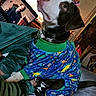 dog, pit_bull, pet, animal, blue_outfit, cartoon_pattern, sitting, indoors, living_room, blanket, couch, human, collar, harness, wide_eyed, portrait, television, ceiling, cozy, funny