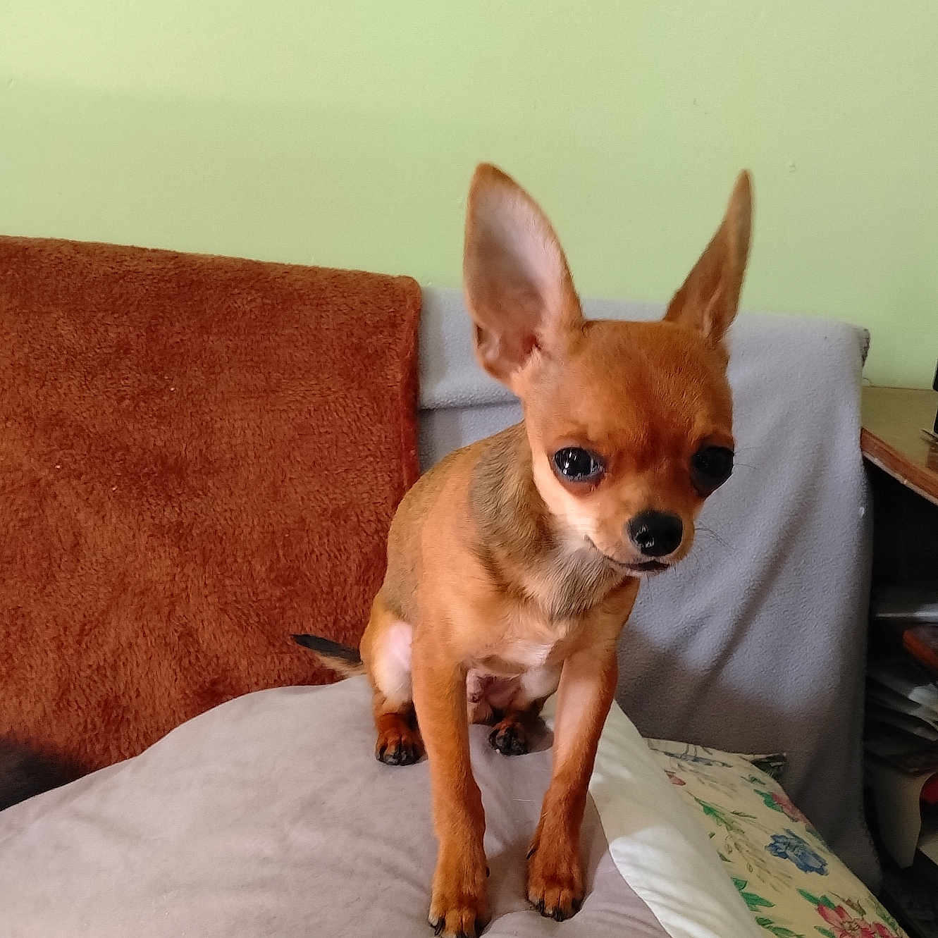 Caramel