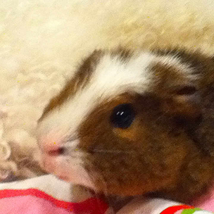 George