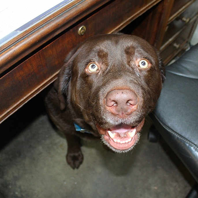 Axle