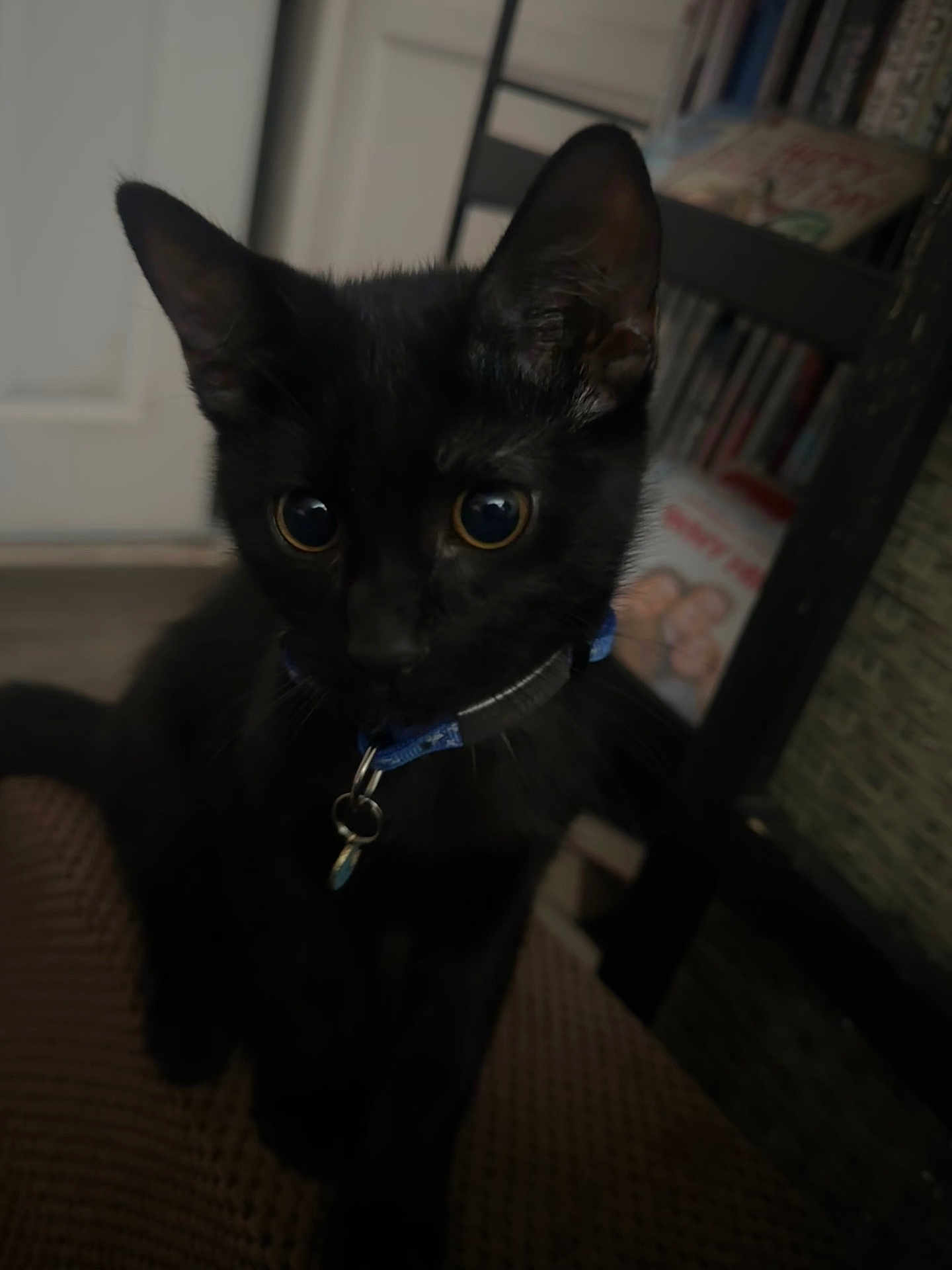Milo