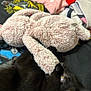 Milo joined the competition — help win amazing prizes! cat, black_cat, stuffed_animal, plush_toy, blanket, fabric, home, pet, animal, playful, cozy, fur, soft_texture, indoor, close_up, snuggling, toy, cute, relaxing, sleepy
