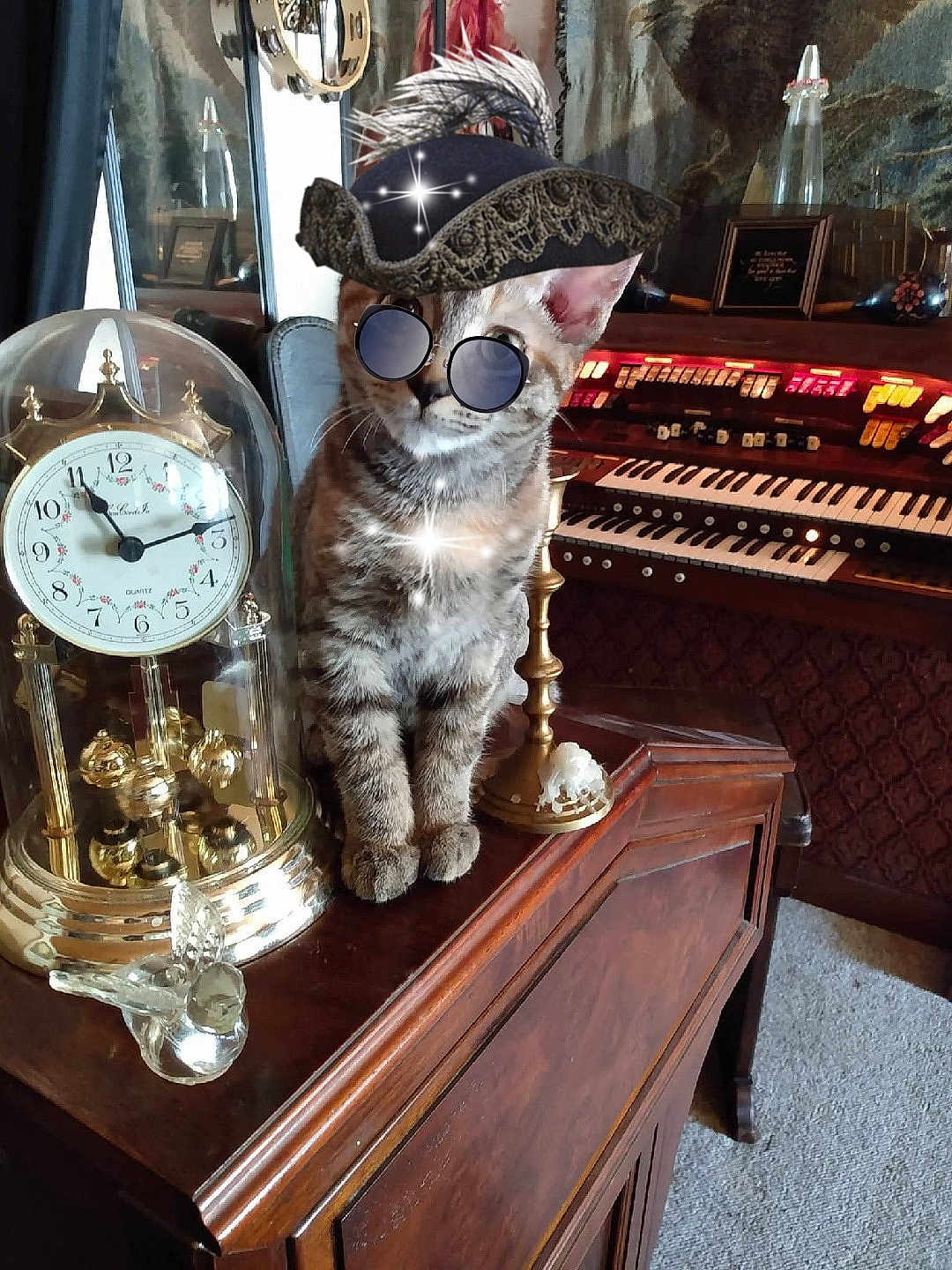 Jasperella is registered to the contest to win money with this photo: cat, kitten, tabby, organ, vintage, wooden_furniture, clock, glass_dome, candle, decor, indoor, sunglasses, hat, feather, antique, reflection, carpet, ornament, furniture, animal