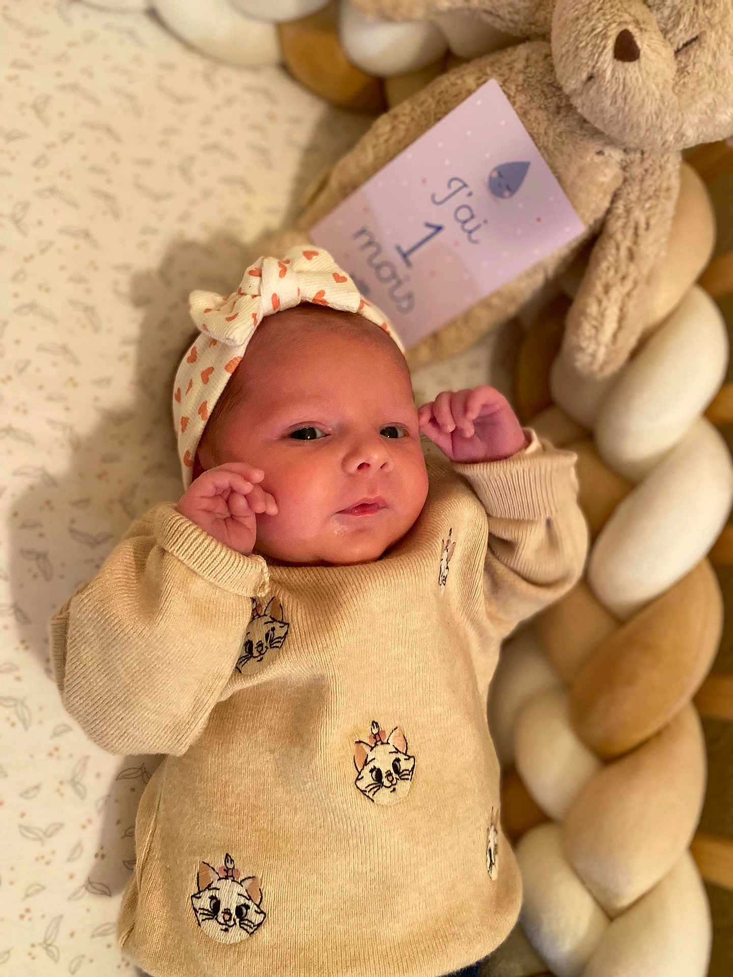 Livia a rejoint le concours — aidez-le/la à gagner de superbes lots ! baby, infant, headband, sweater, cat_pattern, plush_toy, bunny, braided_cushion, blanket, milestone_card, one_month, face, hands, lying_down, cute, soft_texture, indoors, portrait, newborn, warm_colors