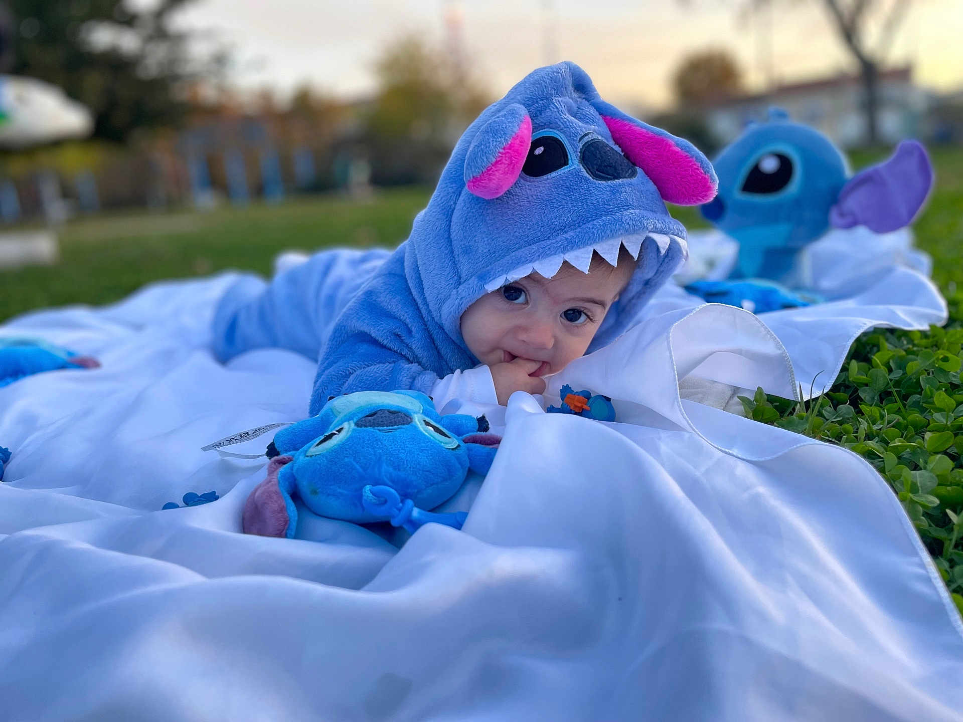 Ilia participe au concours pour gagner de l'argent avec cette photo : baby, child, costume, blue, plush_toy, blanket, outdoor, grass, park, cute, face, hand, playing, toy, soft_toy, daylight, nature, happy, person, expression
