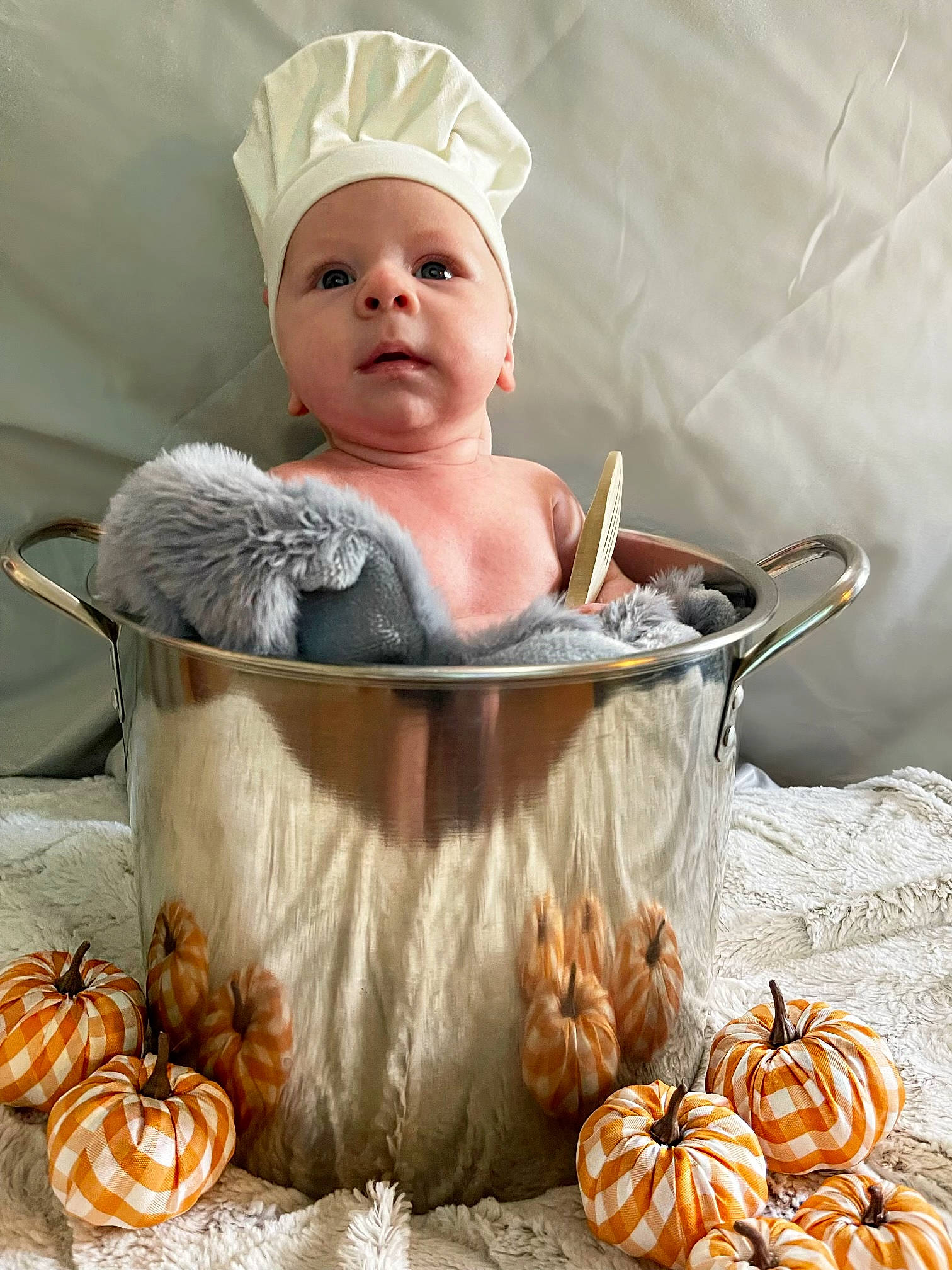 Archer is registered to the contest to win money with this photo: baby, baby_products, basket, calabaza, cap, chef, child, cucurbita, fashion_accessory, gourd, hat, headwear, natural_foods, person, pumpkin, room, serveware, sitting, squash, toddler