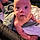 Xander