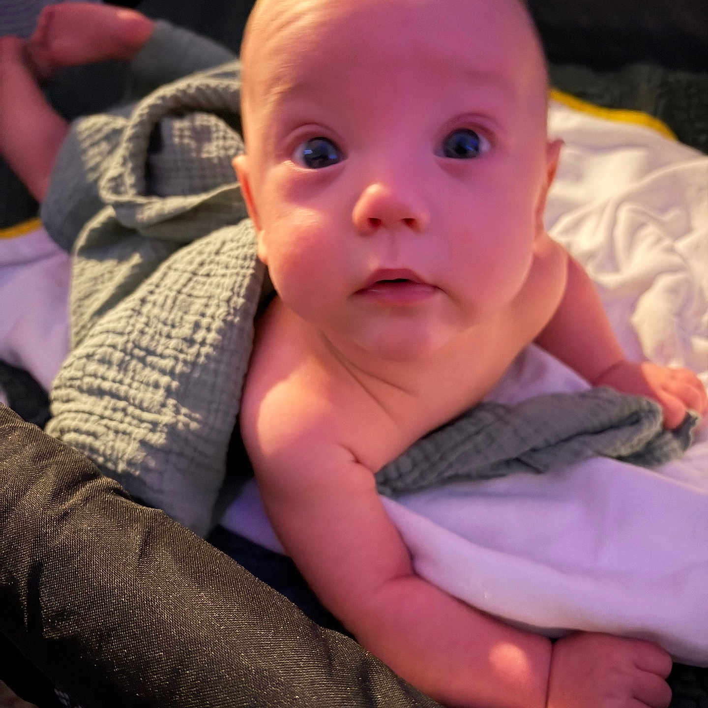 Xander