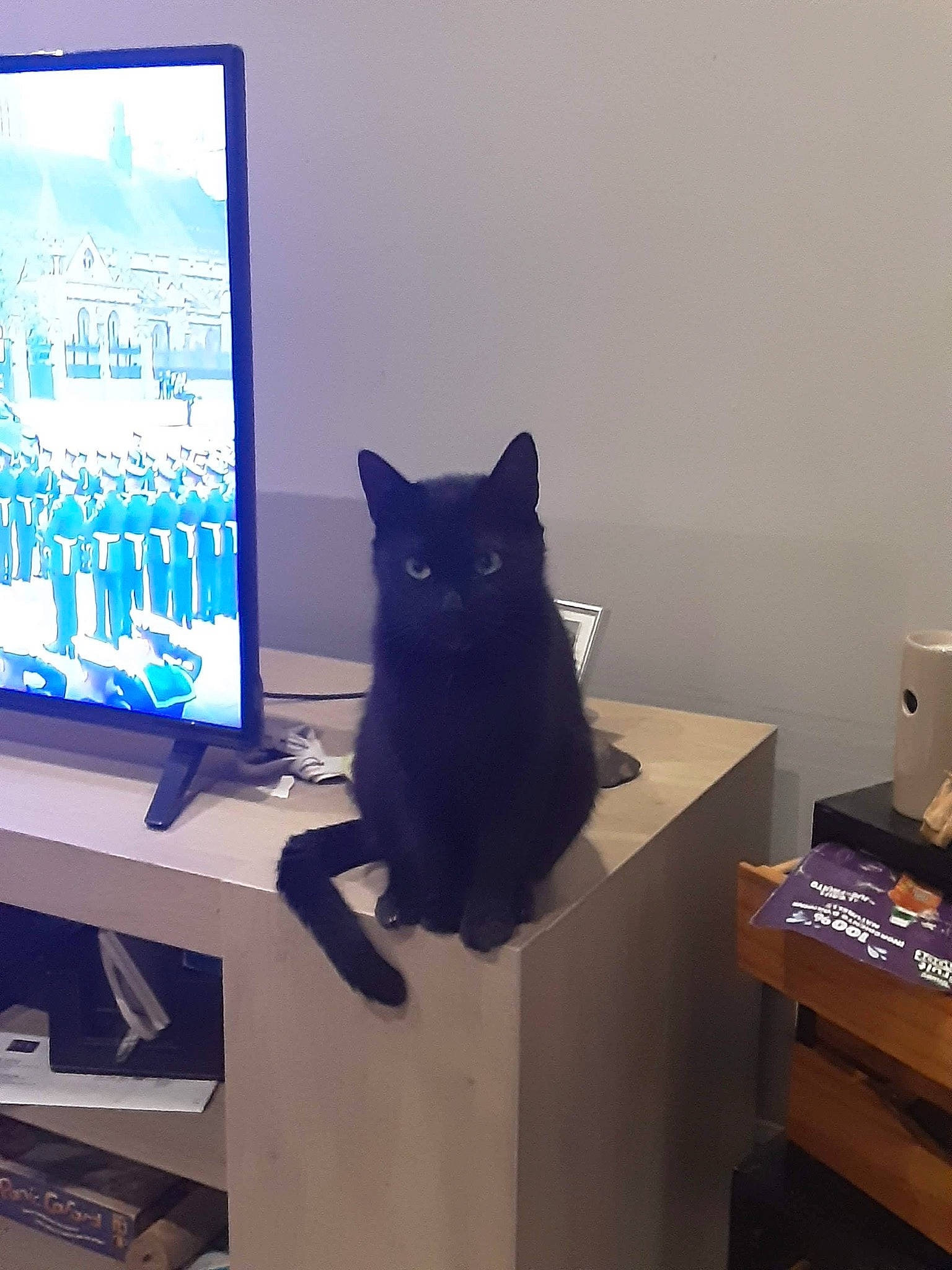 Minuit a rejoint le concours — aidez-le/la à gagner de superbes lots ! black_cat, bombay, carnivore, cat, computer_monitor_accessory, desktop_computer, display_device, domestic_short_haired_cat, electric_blue, electronic_device, felidae, flat_panel_display, gadget, output_device, personal_computer, room, small_to_medium_sized_cats, tail, television_set, whiskers