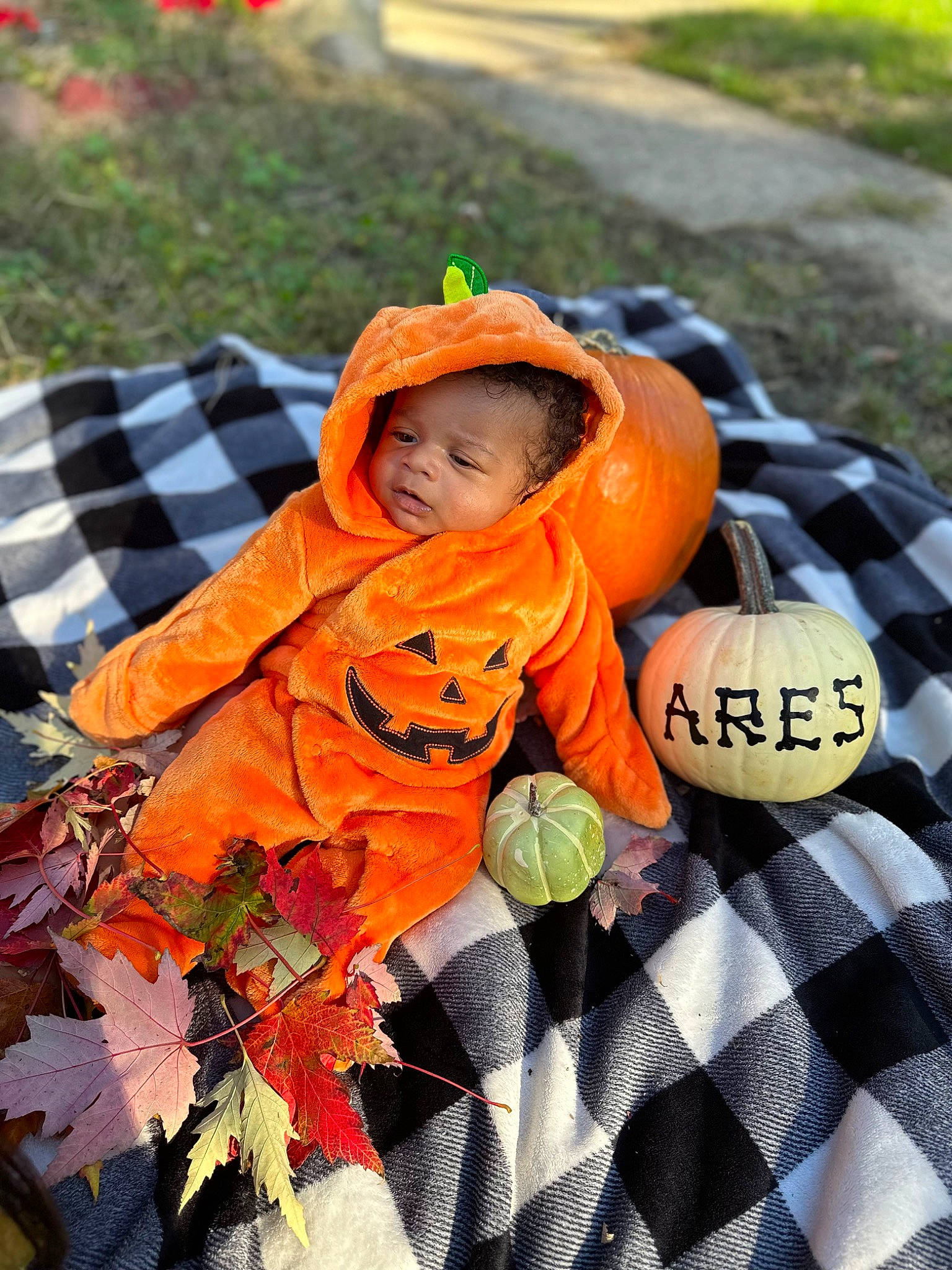 Ares joined the competition — help win amazing prizes! child, event, face, grass, green, happy, leaf, leisure, orange, pattern, person, plaid, plant, pumpkin, recreation, soil, tartan, textile, toddler, tradition