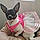 Lilly