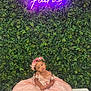 Azalea is registered to the contest to win money with this photo: child, clothing, dress, face, female, flower, formalwear, furniture, girl, hair, head, herbal, herbs, lady, person, photography, plant, portrait, purple, sitting