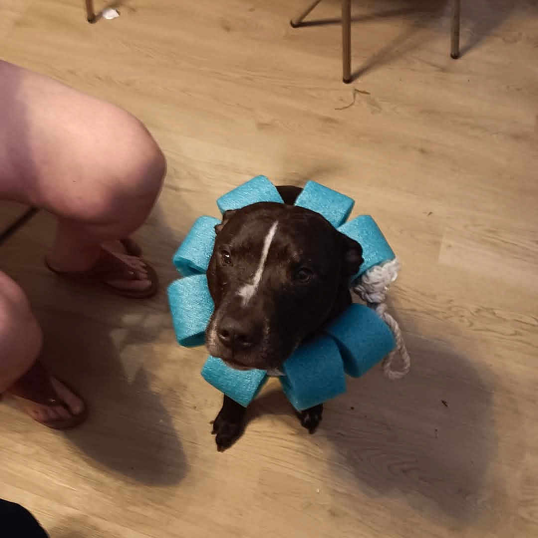 Max