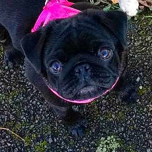 India is registered to the contest to win money with this photo: