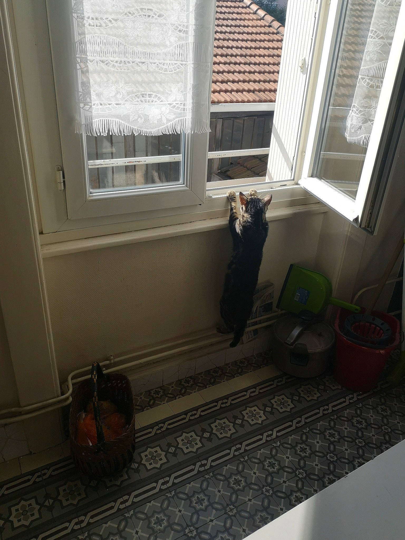 Biggie participe au concours pour gagner de l'argent avec cette photo : daylighting, floor, flooring, hardwood, home, house, interior_design, property, room, tile, window