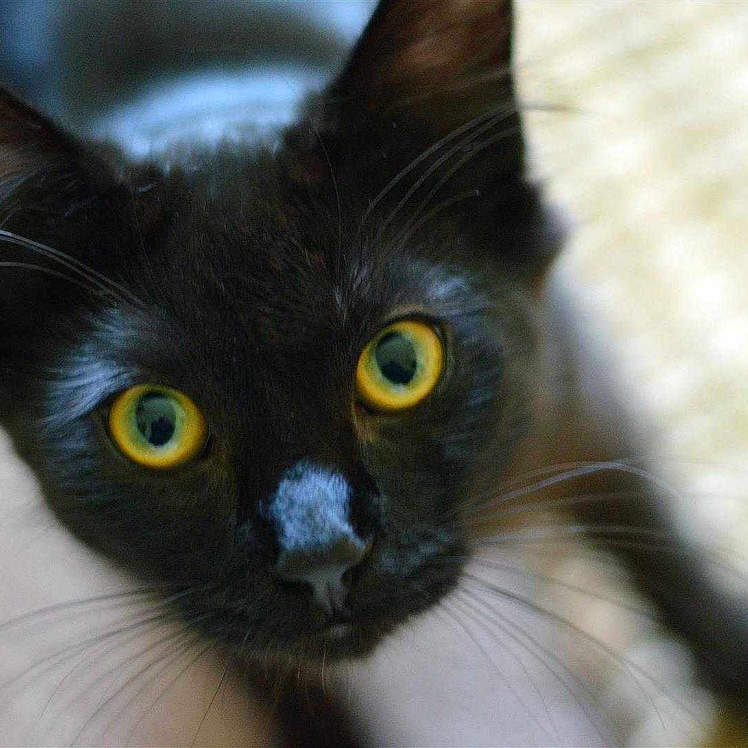 Arthur