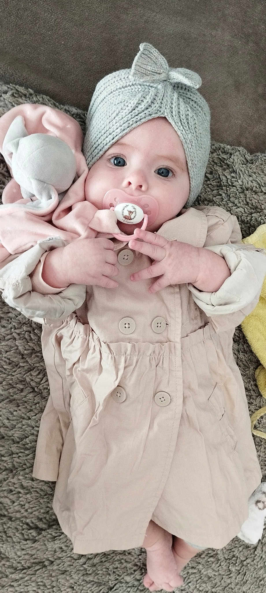 Elyna