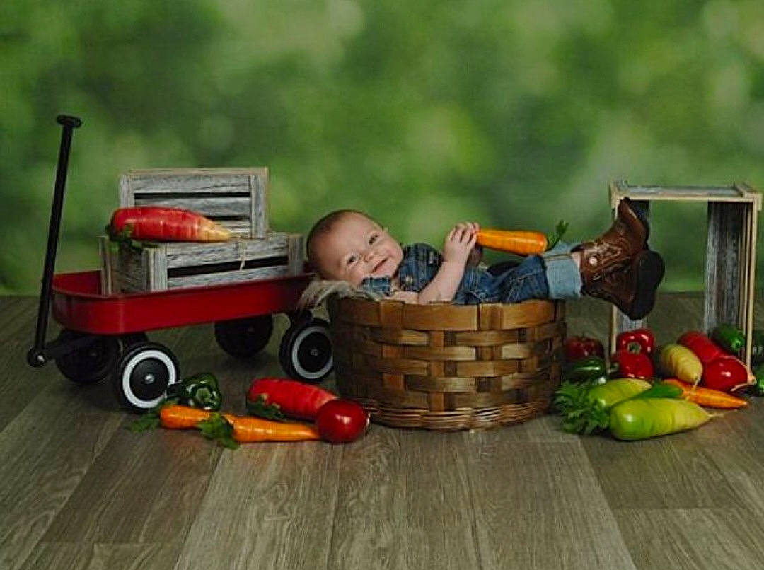 Arthur is registered to the contest to win money with this photo: apple, baby, basket, cooking, flooring, fruit, grass, hardwood, machine, motor_vehicle, natural_foods, person, plant, rolling, superfood, toy, toy_vehicle, tree, vegetable, wheel
