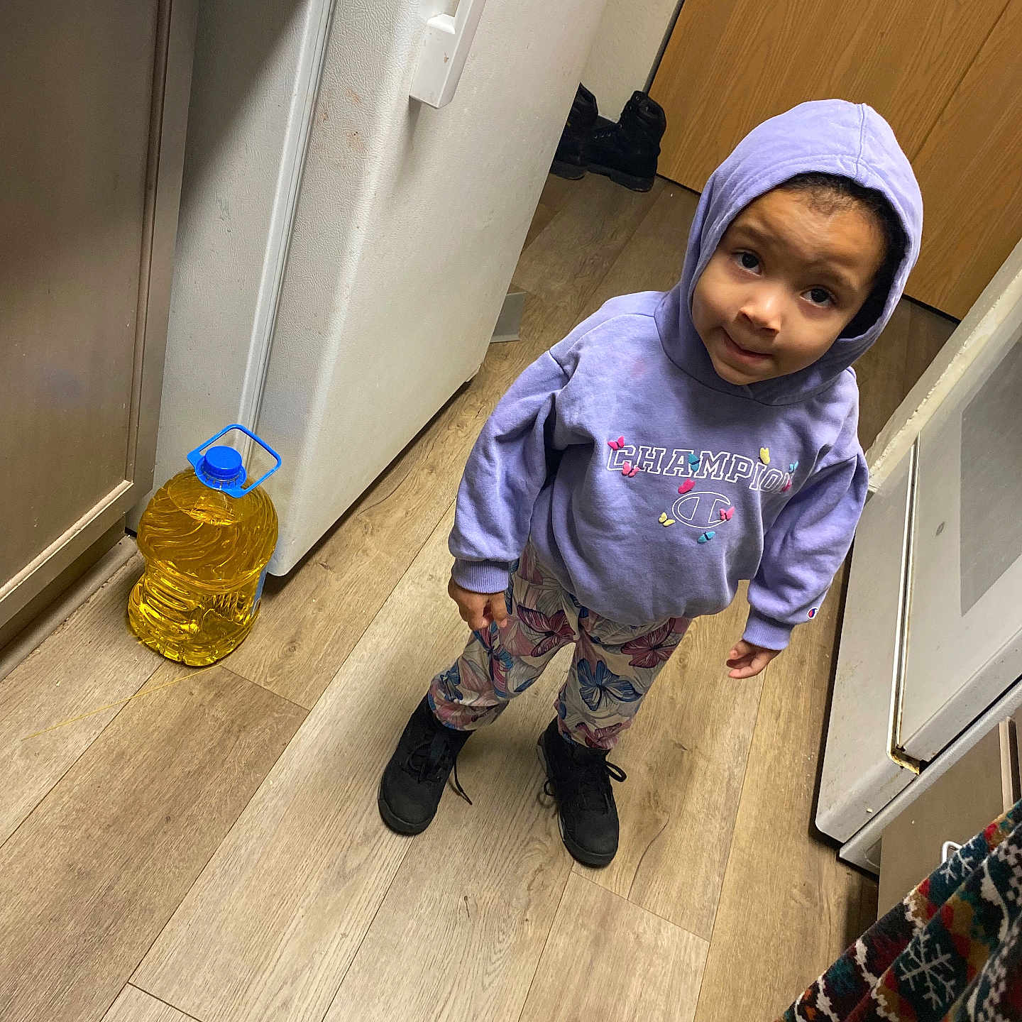 Isabella is registered to the contest to win money with this photo: child, hoodie, purple_clothing, butterfly_pattern, pants, black_shoes, wooden_floor, kitchen, yellow_container, curious_expression, standing, indoors, door, cabinet, flooring, appliance, person, small_child, casual_clothing, looking_up