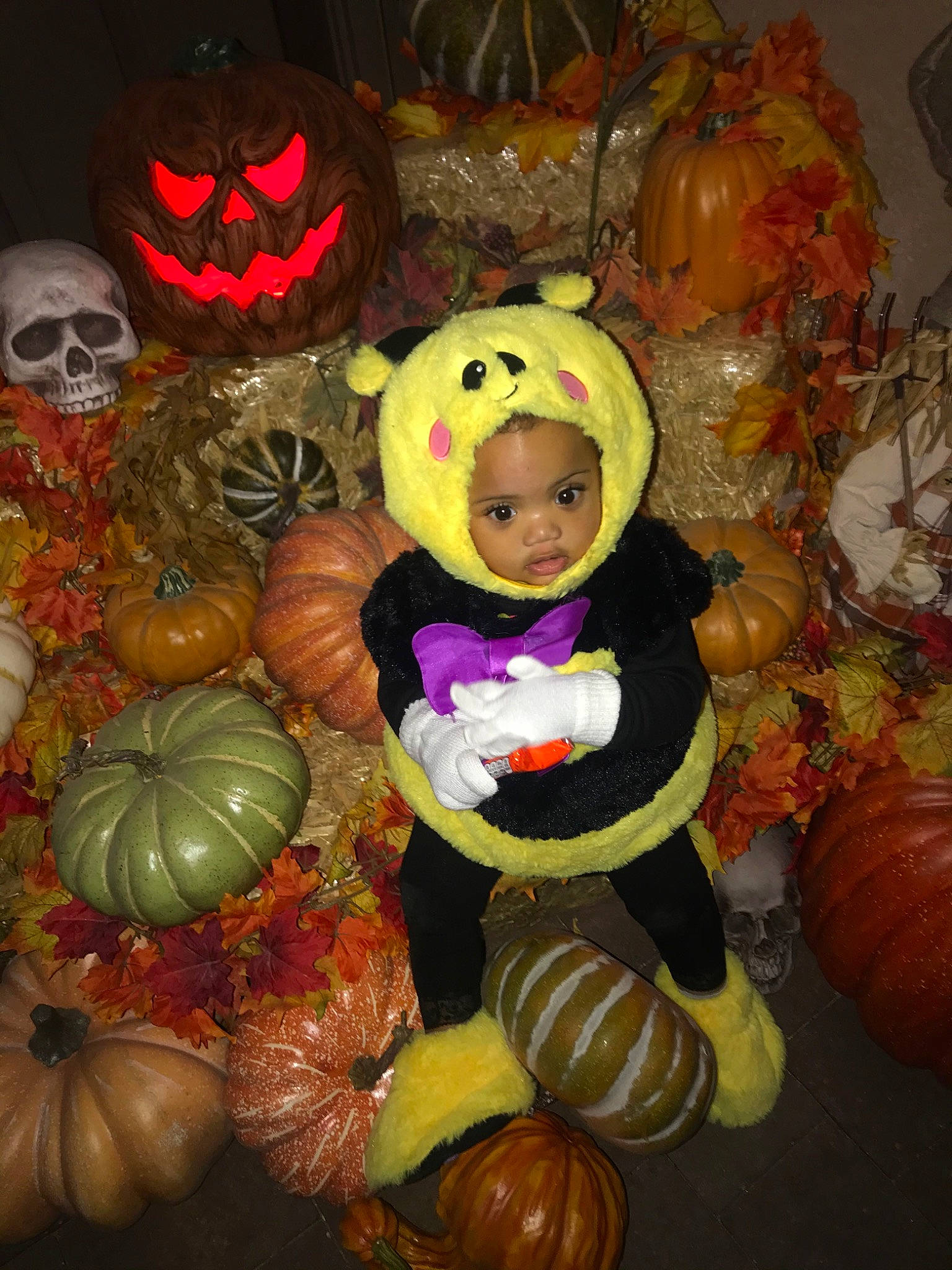 Jayde is registered to the contest to win money with this photo: autumn, calabaza, child, cucurbita, gourd, leaf, person, plant, pumpkin, trick_or_treat, vegetable, winter_squash