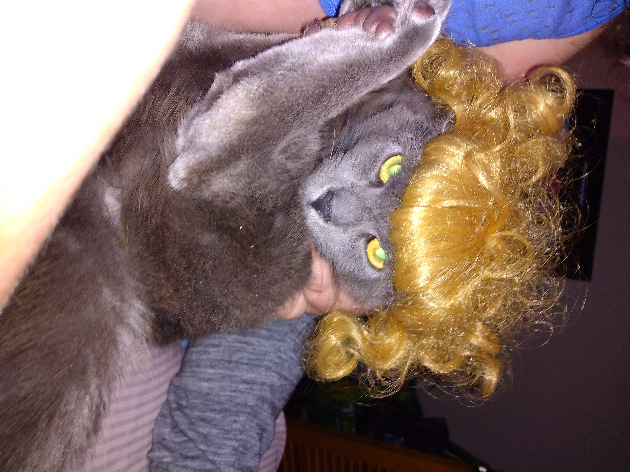 Emerald is registered to the contest to win money with this photo: art, dog_breed, doll, ear, fashion_accessory, finger, fun, fur, gesture, hat, mask, nail, painting, primate, selfie, sporting_group, stuffed_toy, thumb, toy, visual_arts