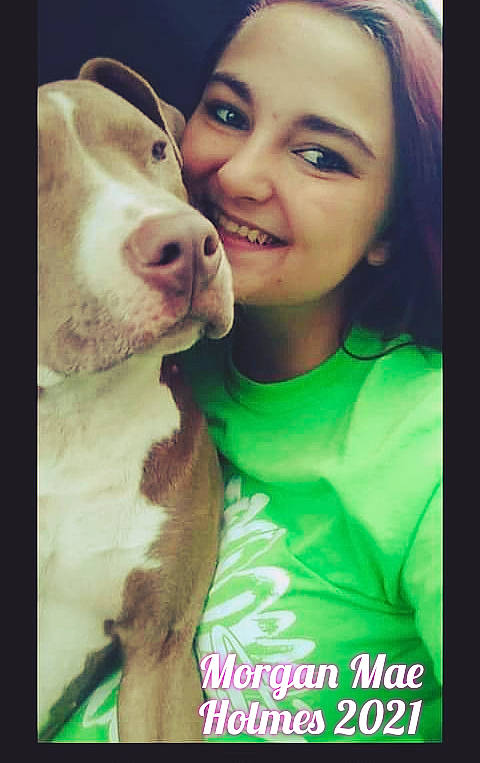 Koda Bear is registered to the contest to win money with this photo: carnivore, companion_dog, dog, dog_breed, fun, fur, gesture, happy, jaw, laugh, love, nose, photo_caption, puppy_love, selfie, smile, sporting_group, t_shirt, whiskers, working_animal