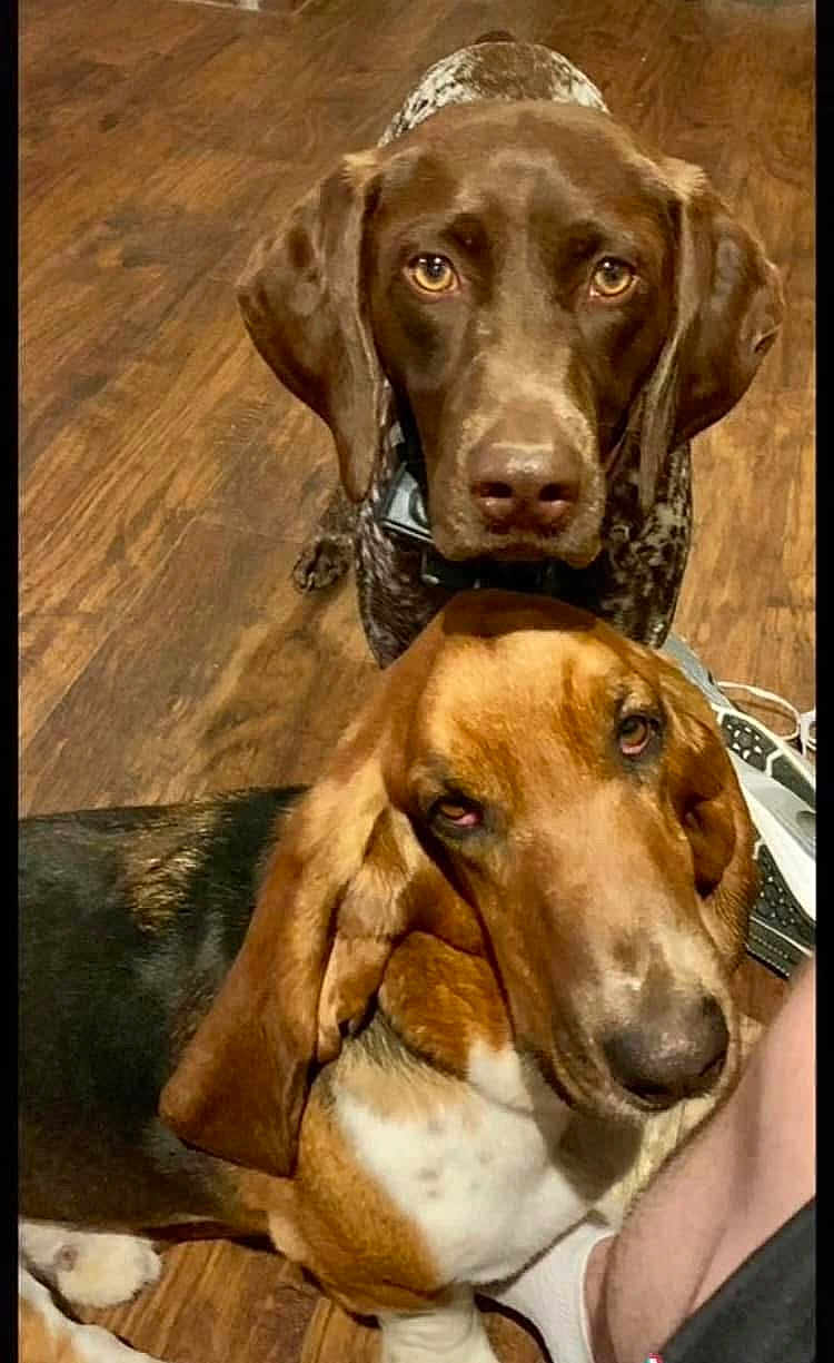 River And Bro Ben