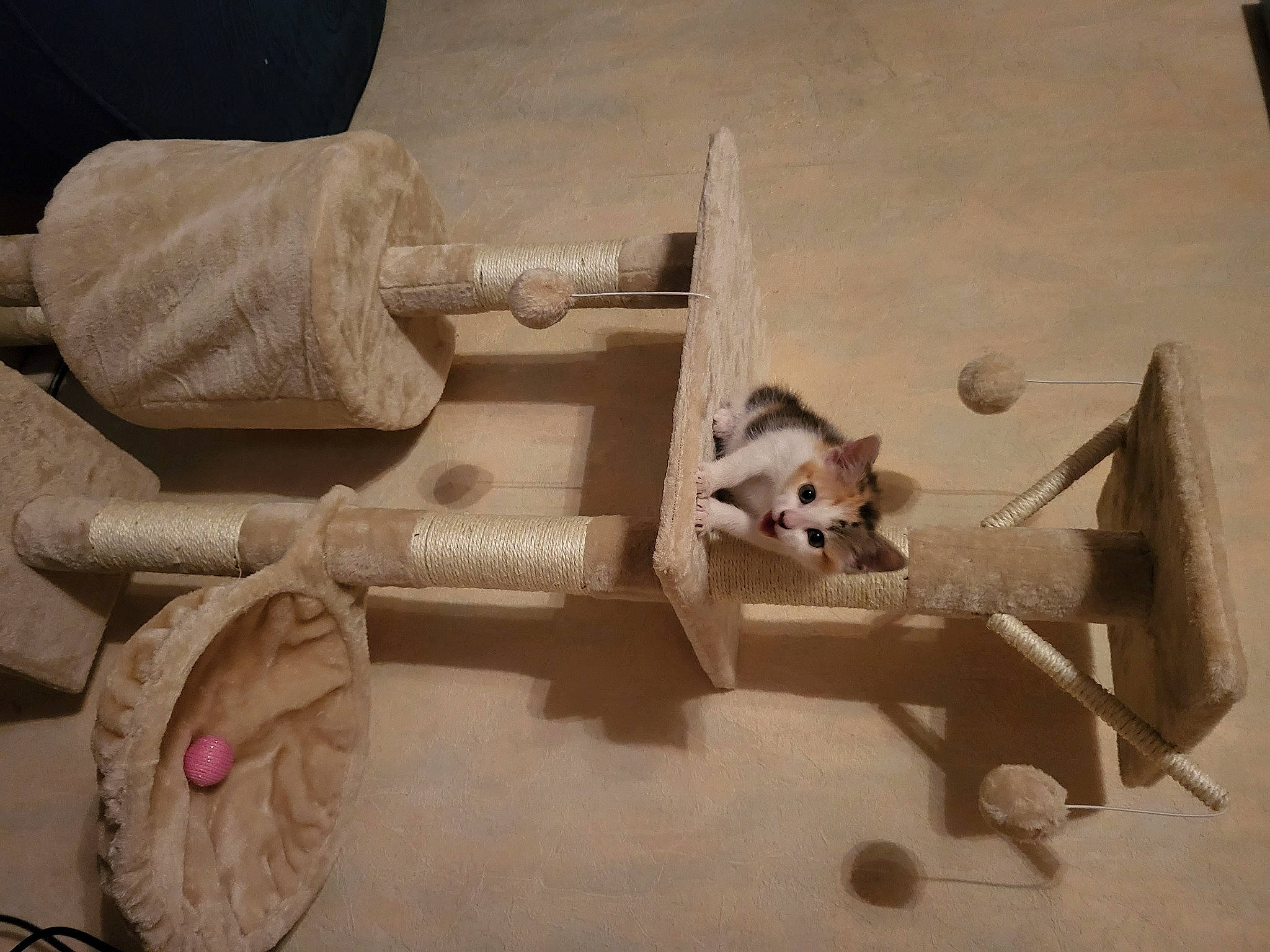 Tinka a rejoint le concours — aidez-le/la à gagner de superbes lots ! art, machine, room, rope, still_life_photography, toy, visual_arts, wood