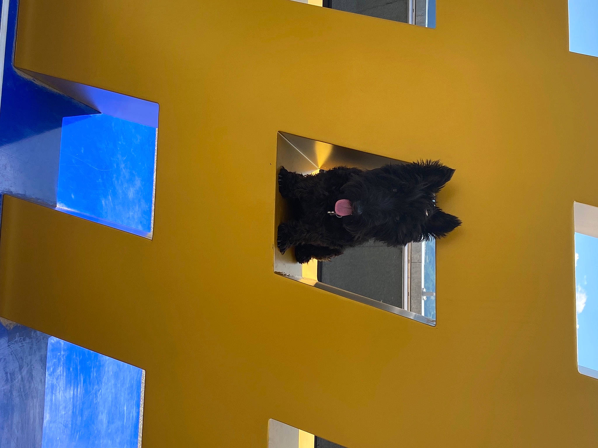 Charlyne participe au concours pour gagner de l'argent avec cette photo : architecture, art, blue, building, ceiling, electric_blue, facade, magenta, material_property, paint, property, purple, rectangle, room, shade, space, tints_and_shades, visual_arts, window, world