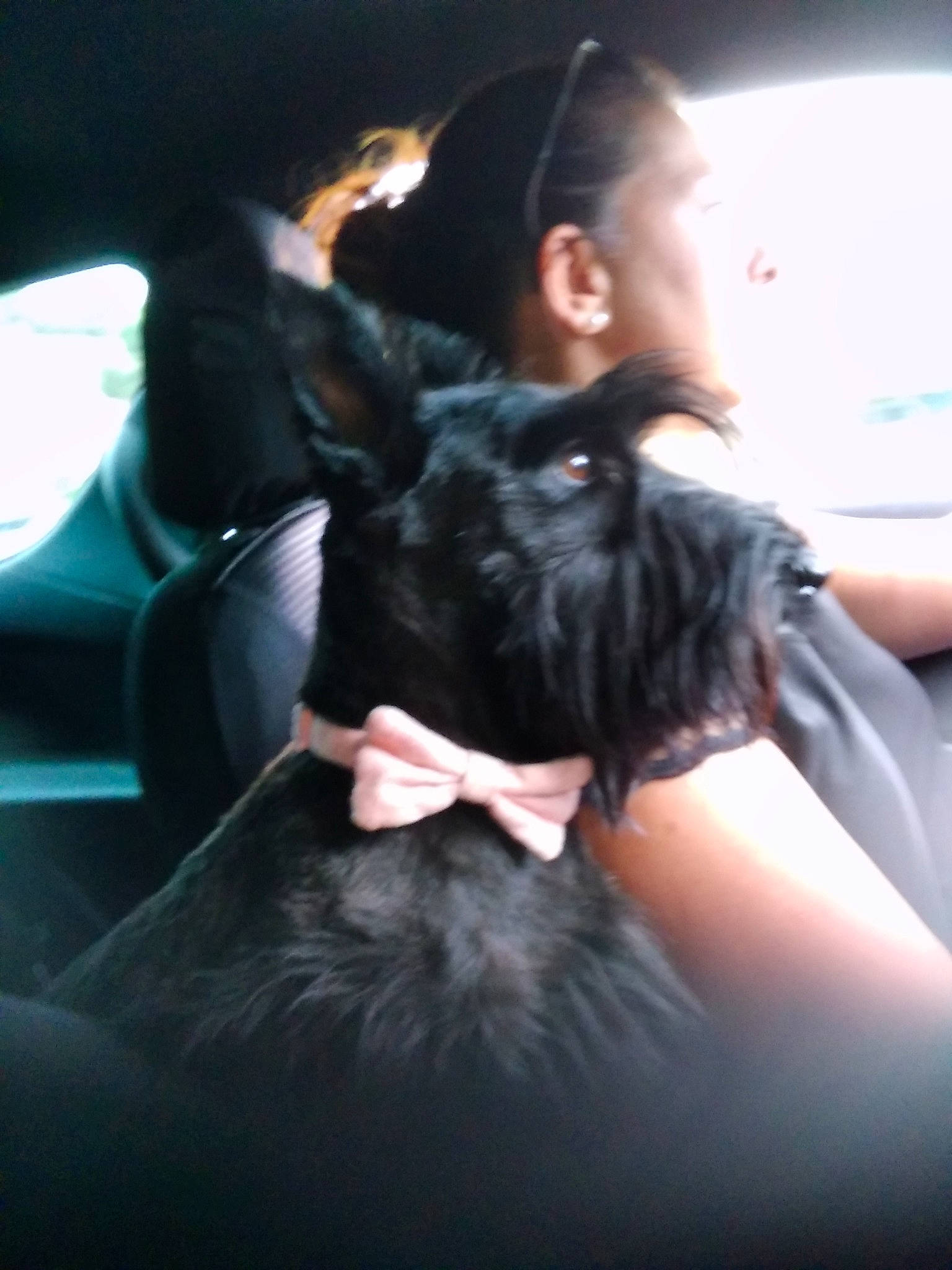 Charlyne participe au concours pour gagner de l'argent avec cette photo : black_hair, carnivore, cloud, comfort, companion_dog, dog_breed, dress, ear, felidae, finger, formal_wear, gesture, happy, long_hair, mammal, small_to_medium_sized_cats, snout, sporting_group, thigh, vertebrate