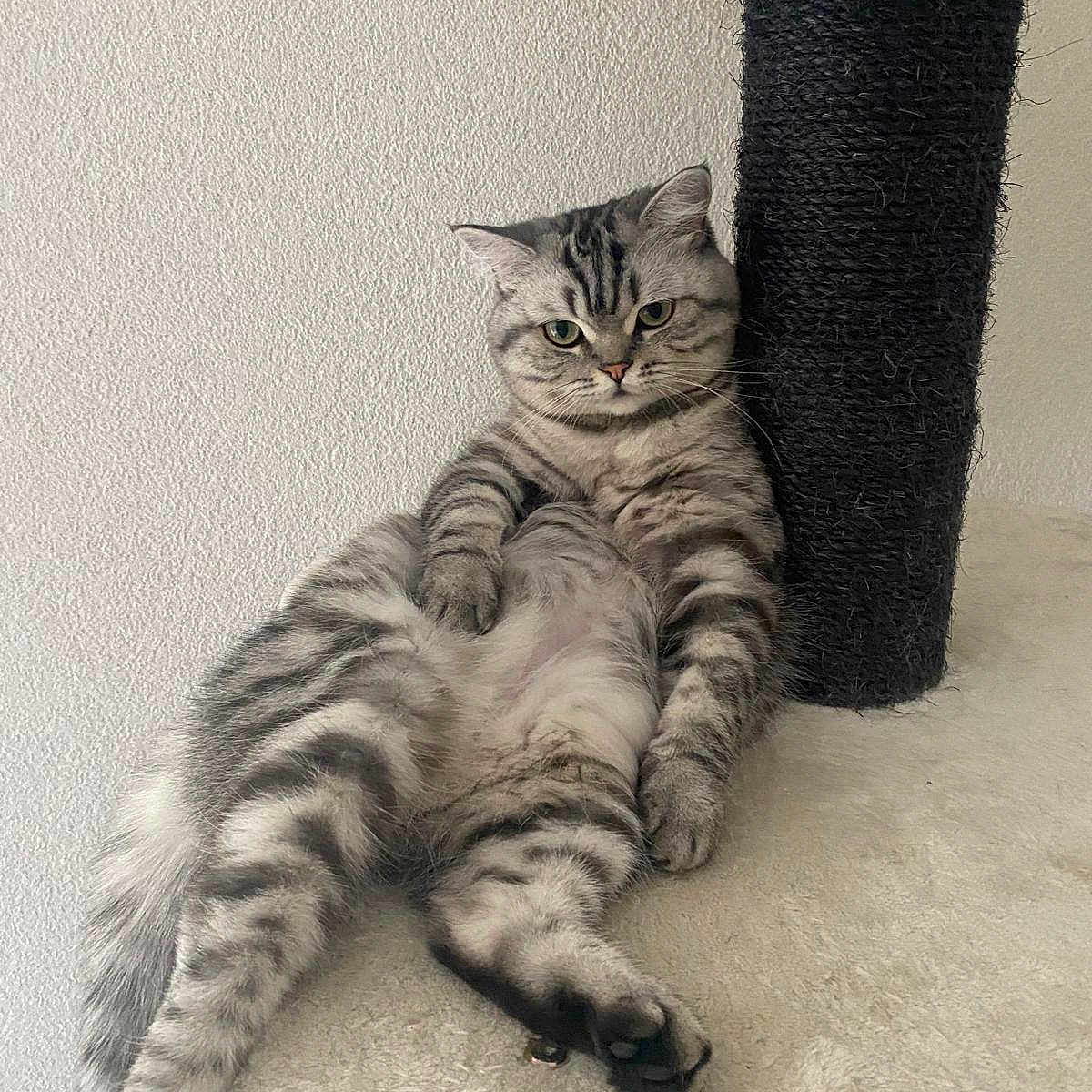Mia