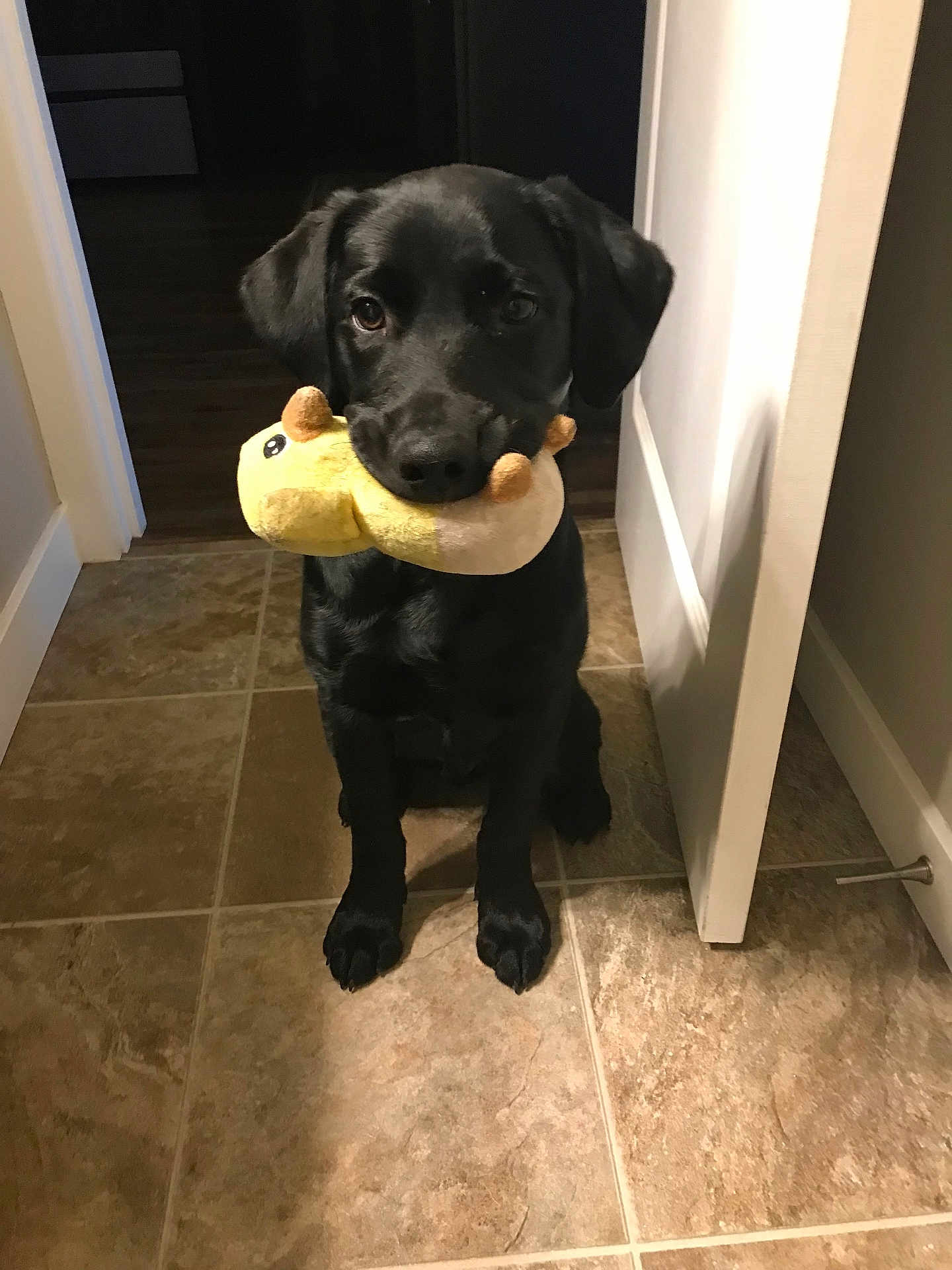 Charlie