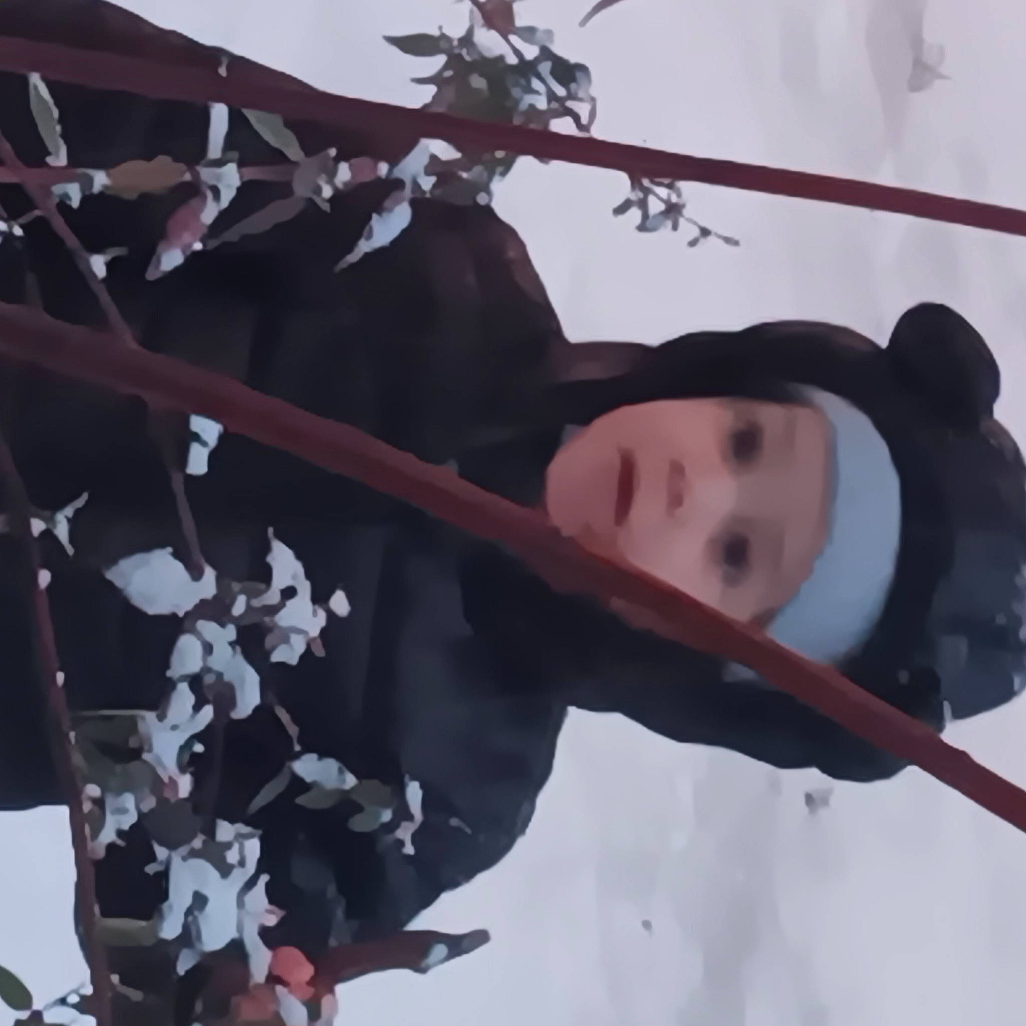 Cassyopée participe au concours pour gagner de l'argent avec cette photo : blossom, branch, eye, flower, freezing, headwear, metal, person, petal, plant, snow, textile, tree, twig, window, winter