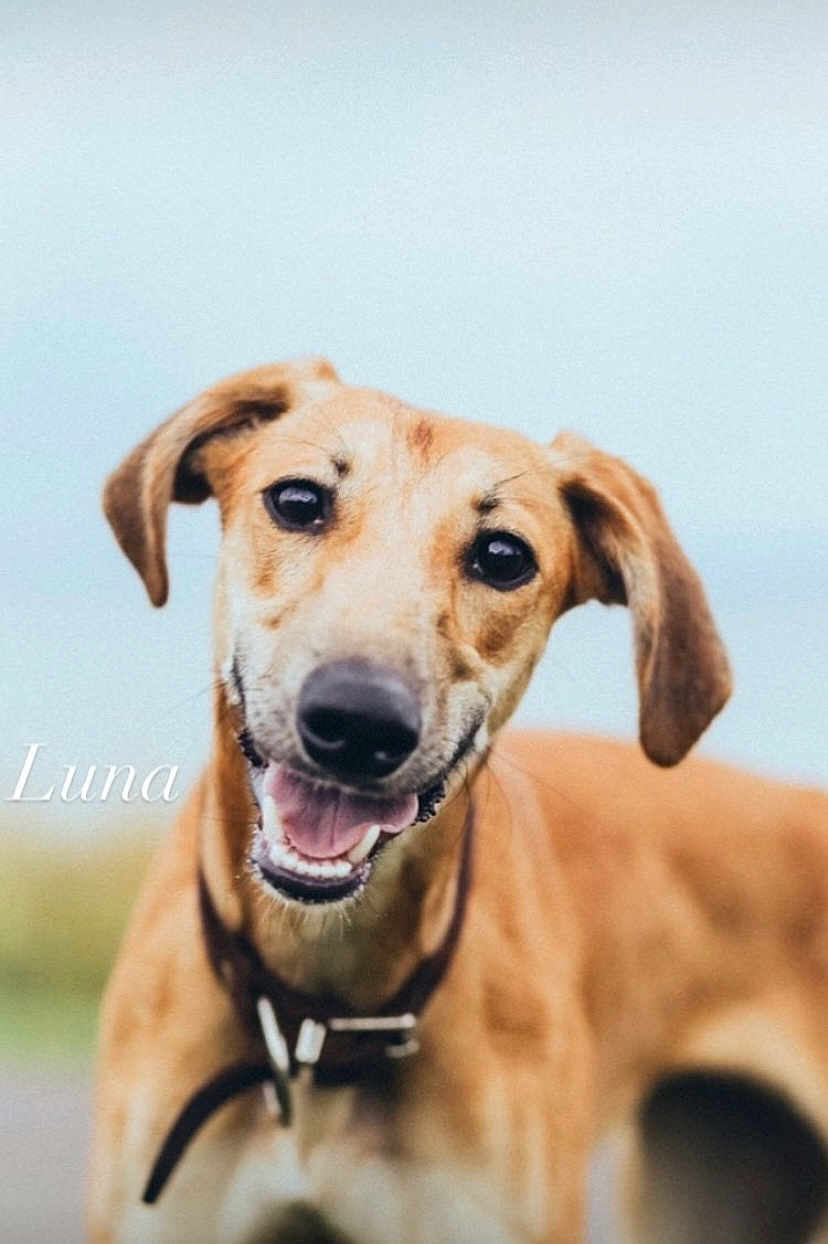 Luna