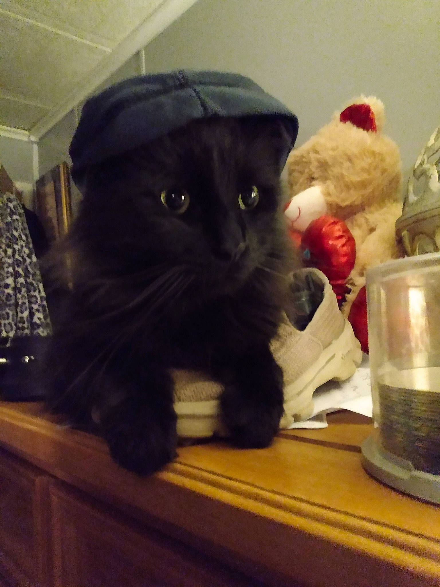 Booger is registered to the contest to win money with this photo: black_cat, bombay, carnivore, cat, comfort, domestic_short_haired_cat, felidae, fur, hat, room, serveware, sleeve, small_to_medium_sized_cats, snout, table, tail, teddy_bear, terrestrial_animal, toy, whiskers