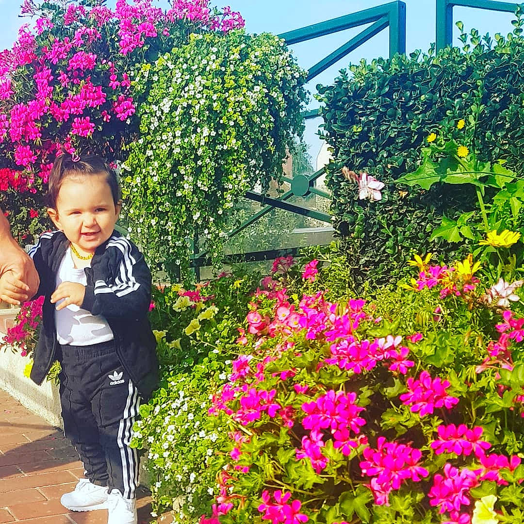 Iskra a rejoint le concours — aidez-le/la à gagner de superbes lots ! annual_plant, botanical_garden, flora, floristry, flower, flowering_plant, garden, gardening, grass, outdoor_structure, person, plant, rose_family, shrub, spring, tree