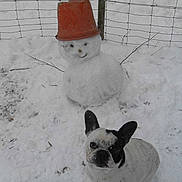 Griotte a rejoint le concours — aidez-le/la à gagner de superbes lots !