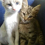 Ioda a rejoint le concours — aidez-le/la à gagner de superbes lots !