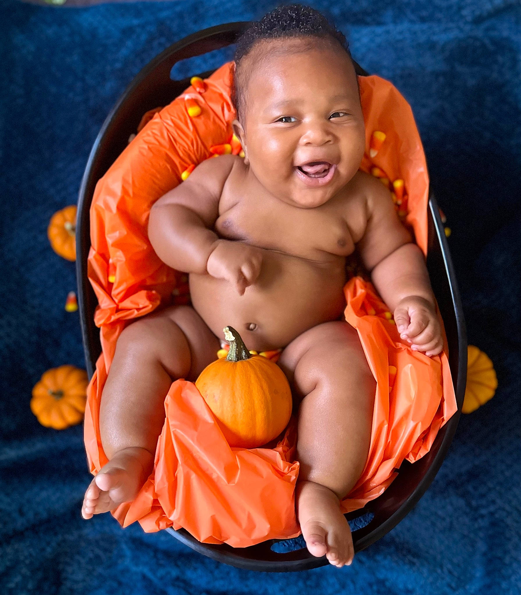Lennox is registered to the contest to win money with this photo: abdomen, arm, baby, barechested, calabaza, chest, comfort, hand, happy, human_body, natural_foods, orange, person, plant, pumpkin, smile, stomach, toddler, trunk, vegetable