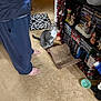 bare_feet, book_shelf, bowl, cardboard_scratcher, carpet, carpeted_floor, cat, christmas_decoration, curious, decorations, dvd, figurine, floor, gray_cat, home, indoor, pants, person, toy, white_cat
